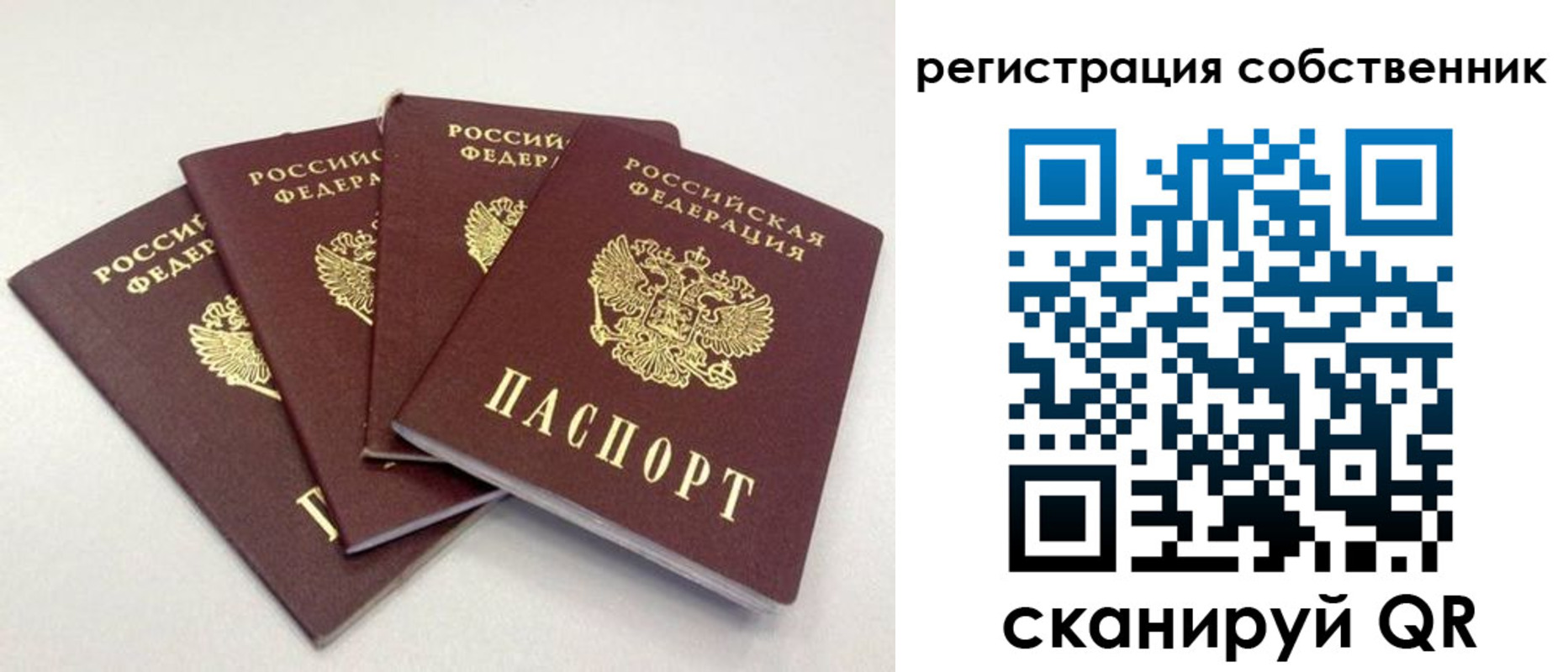 прописка для школы в Озёрах